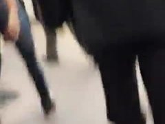 Zorra del metro polanco